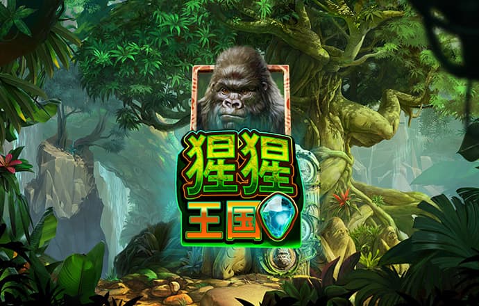 im体育官方版app下载